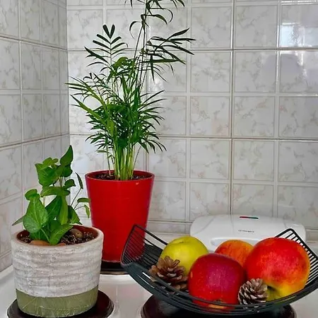 Appartement Bellissimo Naxos Naxos City