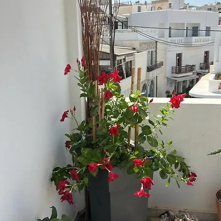 Bellissimo Naxos Naxos City